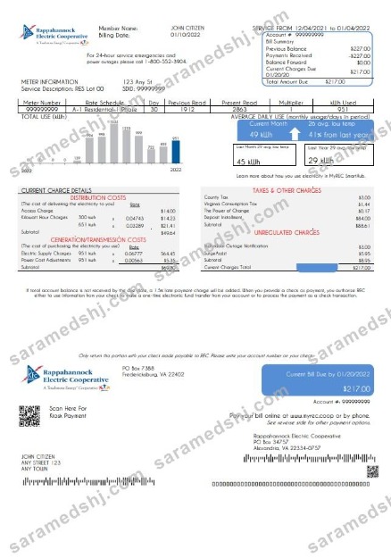 USA Rappahannock Electric Cooperative utility bill template in Word and PDF format